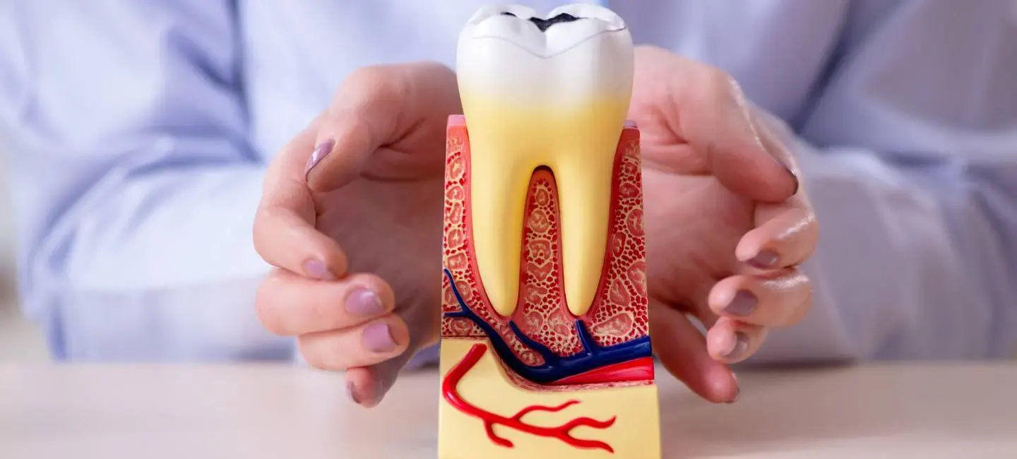 procedures image